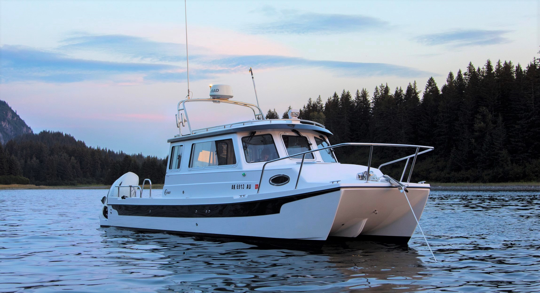 25 ft power catamaran for sale